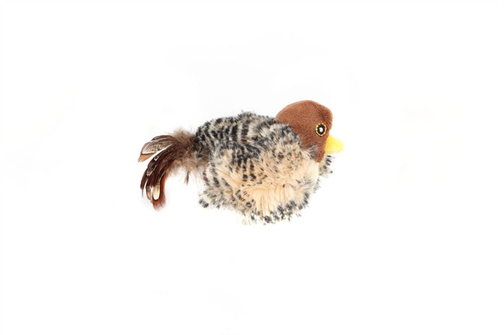GiGwi Melody Chaser Bird Australia