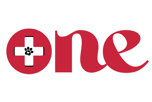 Sustainable Pet Supplies